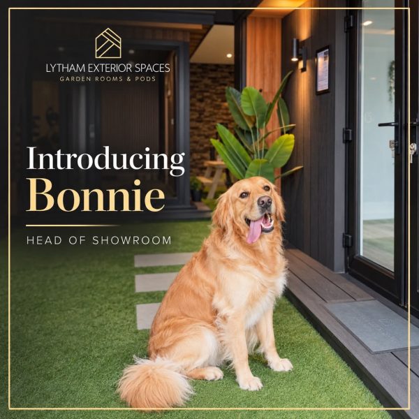 Bonnie, the Lytham Exterior Spaces showroom dog